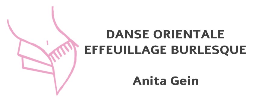 Logo Anita